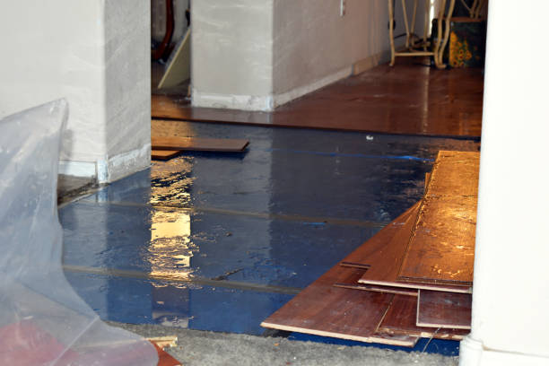 Professional Basement Flood Cleanup technician working in Waverly, NY